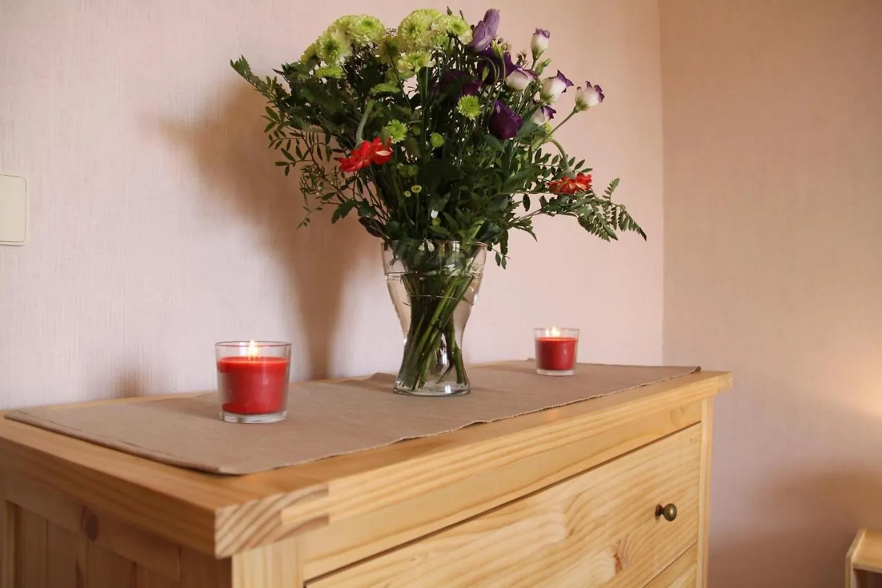 Au Lion D'Or Apartment Le Puy-en-Velay