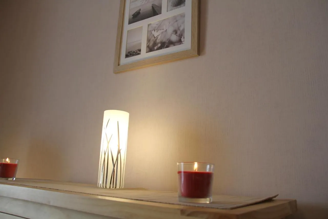 Au Lion D'Or Apartment Le Puy-en-Velay