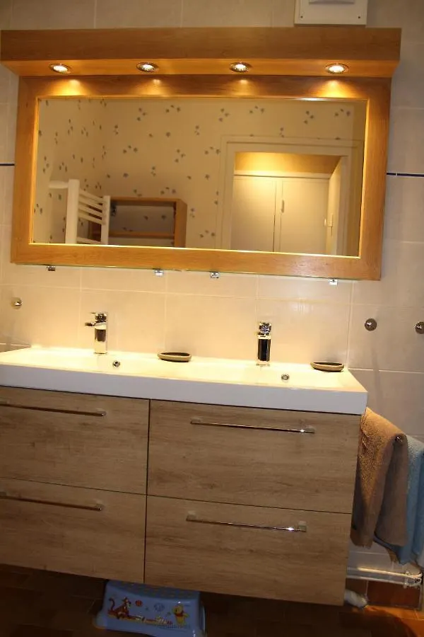 Au Lion D'Or Apartment Le Puy-en-Velay France