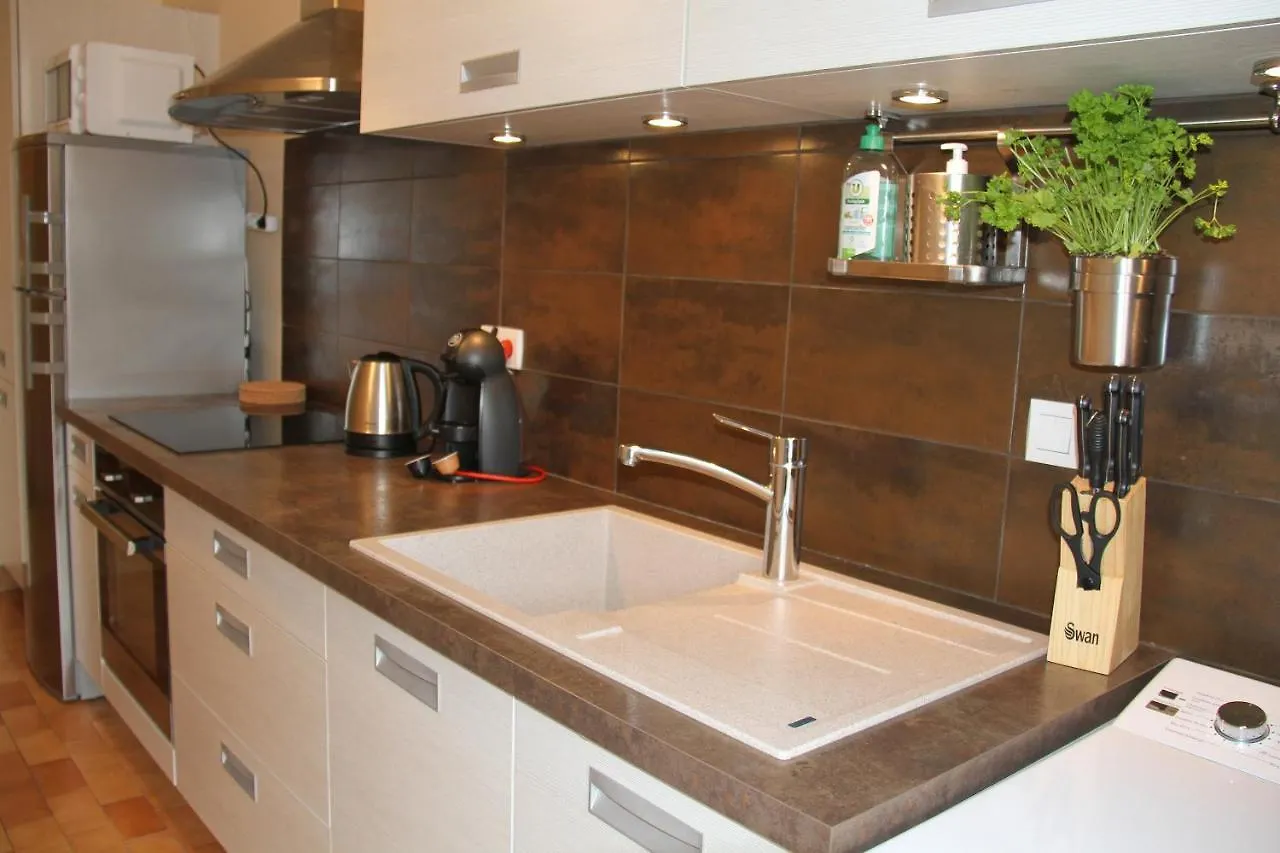 Au Lion D'Or Apartment Le Puy-en-Velay