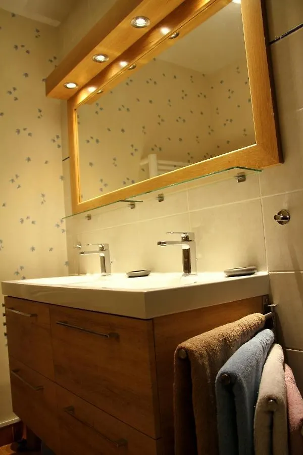 Au Lion D'Or Apartment Le Puy-en-Velay