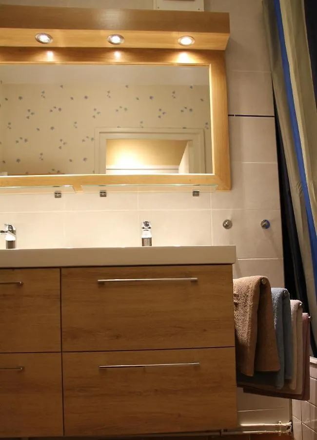 Au Lion D'Or Apartment Le Puy-en-Velay