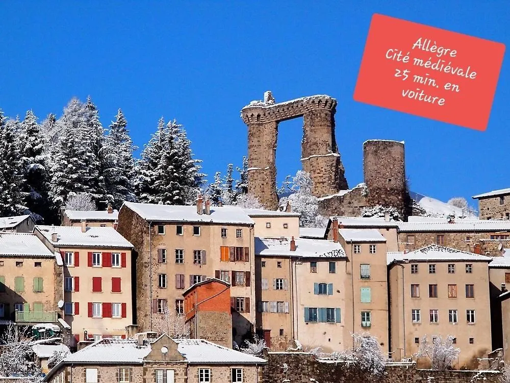 Au Lion D'Or Apartment Le Puy-en-Velay France